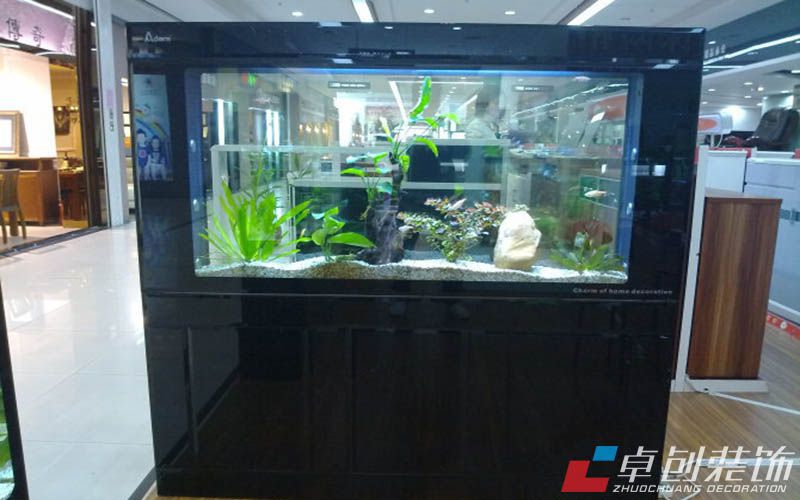 魚缸擺放風水