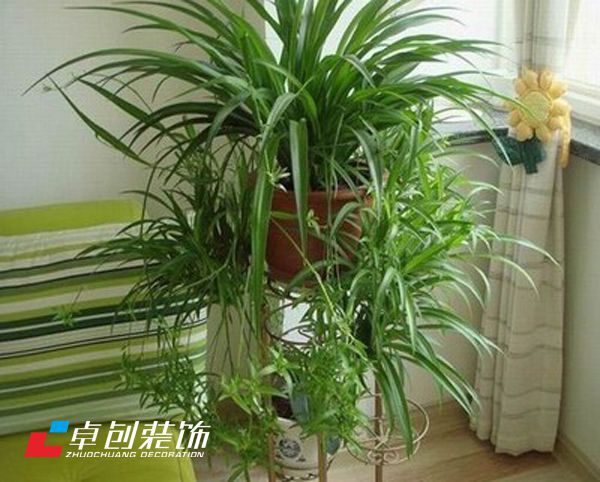 合肥裝飾公司